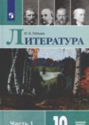 Литература 10 класс Лебедев